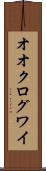 オオクログワイ Scroll
