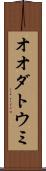 オオダトウミ Scroll