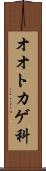 オオトカゲ科 Scroll