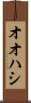 オオハシ Scroll