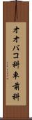 オオバコ科 Scroll