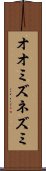 オオミズネズミ Scroll