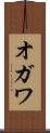 オガワ Scroll