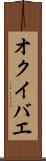オクイバエ Scroll