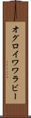 オグロイワワラビー Scroll