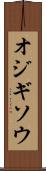 オジギソウ Scroll