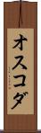 オスコダ Scroll