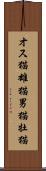 オス猫 Scroll