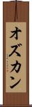 オズカン Scroll