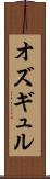 オズギュル Scroll