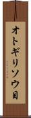 オトギリソウ目 Scroll