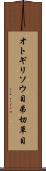 オトギリソウ目 Scroll