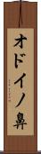 オドイノ鼻 Scroll