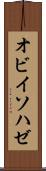 オビイソハゼ Scroll