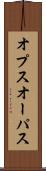 オプス Scroll