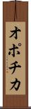 オポチカ Scroll