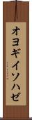 オヨギイソハゼ Scroll