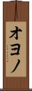 オヨノ Scroll