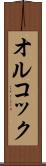 オルコック Scroll