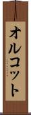 オルコット Scroll