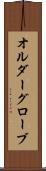 オルダーグローブ Scroll