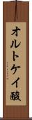 オルトケイ酸 Scroll