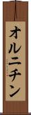 オルニチン Scroll