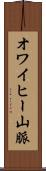 オワイヒー山脈 Scroll