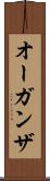 オーガンザ Scroll
