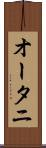 オータニ Scroll