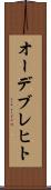 オーデブレヒト Scroll