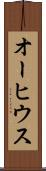 オーヒウス Scroll