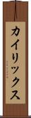 カイリックス Scroll