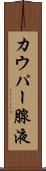 カウパー腺液 Scroll