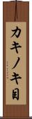 カキノキ目 Scroll