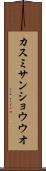 カスミサンショウウオ Scroll