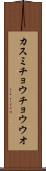 カスミチョウチョウウオ Scroll