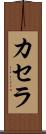 カセラ Scroll