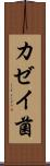 カゼイ菌 Scroll