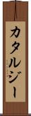 Katarzy Scroll