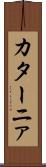 カターニァ Scroll