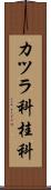 カツラ科 Scroll