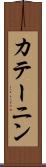 カテーニン Scroll