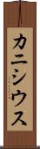カニシウス Scroll