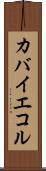 カバイエコル Scroll