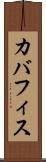 カバフィス Scroll