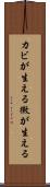 カビが生える Scroll