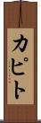 カピト Scroll