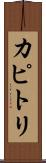 カピトリ Scroll