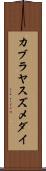 カブラヤスズメダイ Scroll